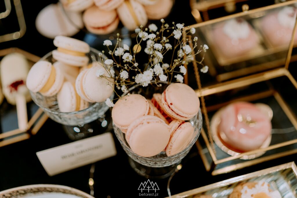 WhatsApp Image 2026-01-23 at 11.09.06 (1)