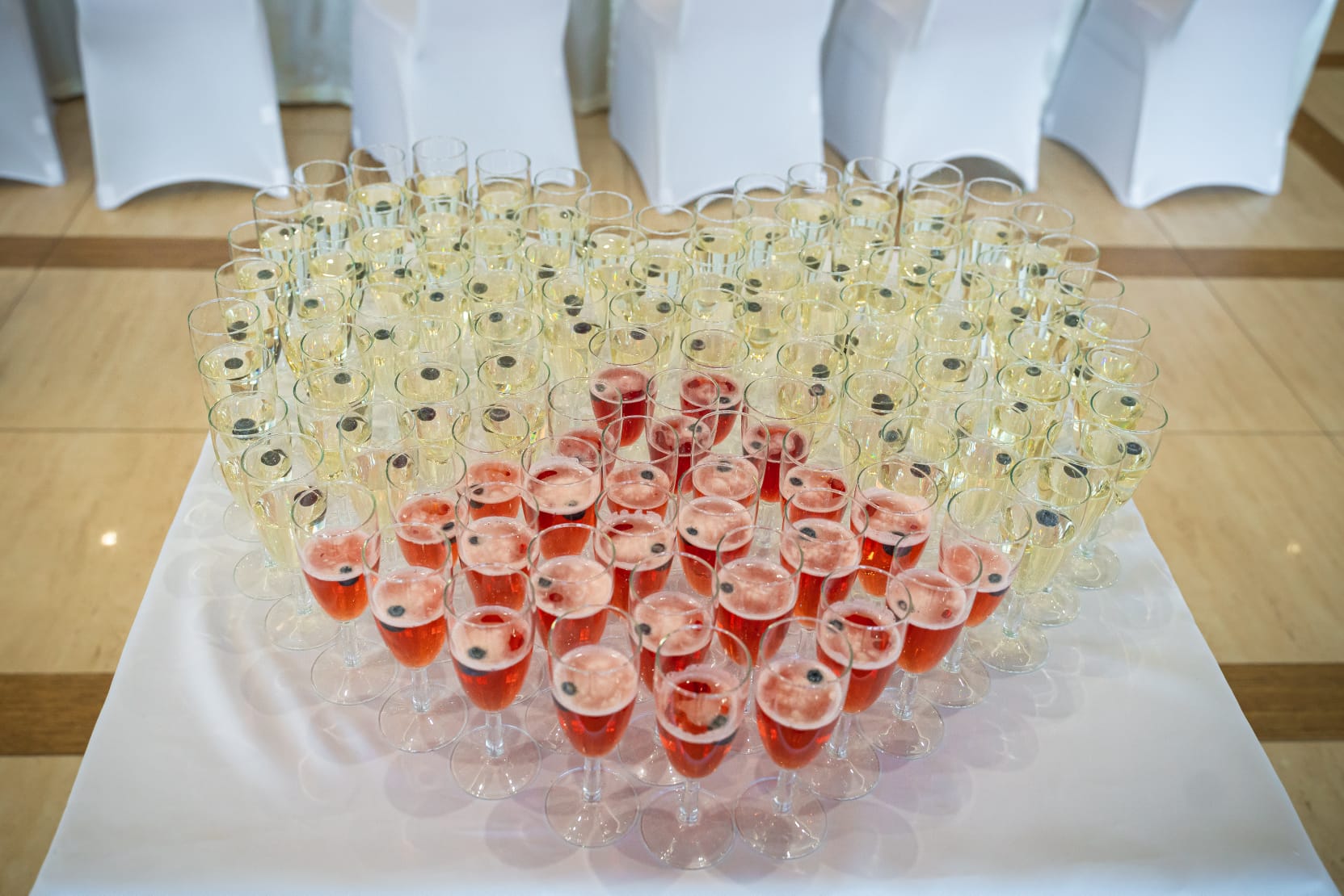 WhatsApp Image 2026-01-23 at 11.09.08 (5)